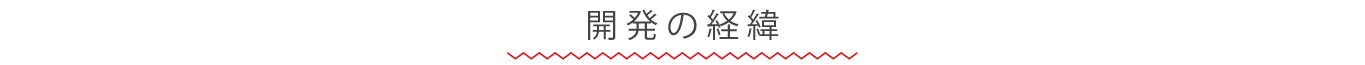 開発の経緯